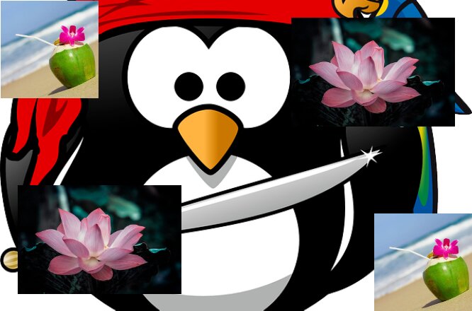 Test Card 2 Zurück Miniaturbild