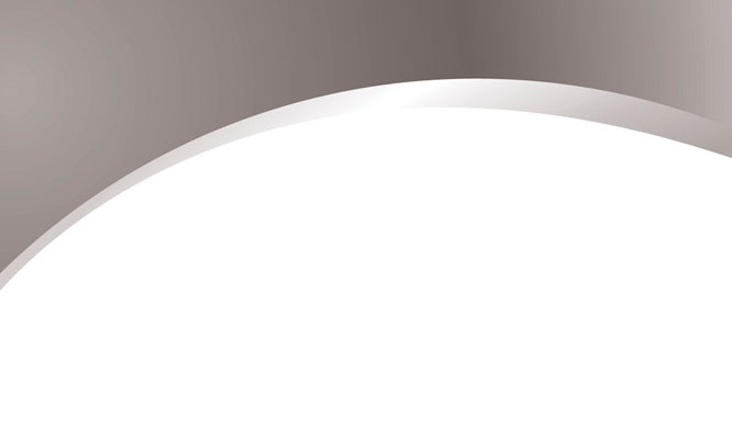 Silver and White Business Card Template Zurück Miniaturbild