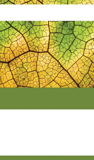 Yellow and Green Leaf Business Card Template Zurück Miniaturbild