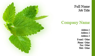 Mint Leaves Business Card Template